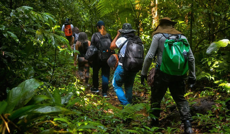 Descubra Aventuras na Natureza e Conecte-se com o Mundo..