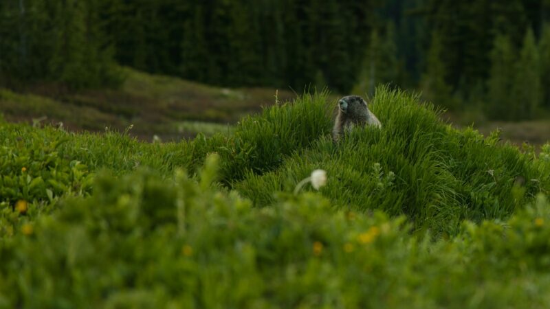 🌍 aventuras: Descubra os Destinos Mais Radicais do Mundo