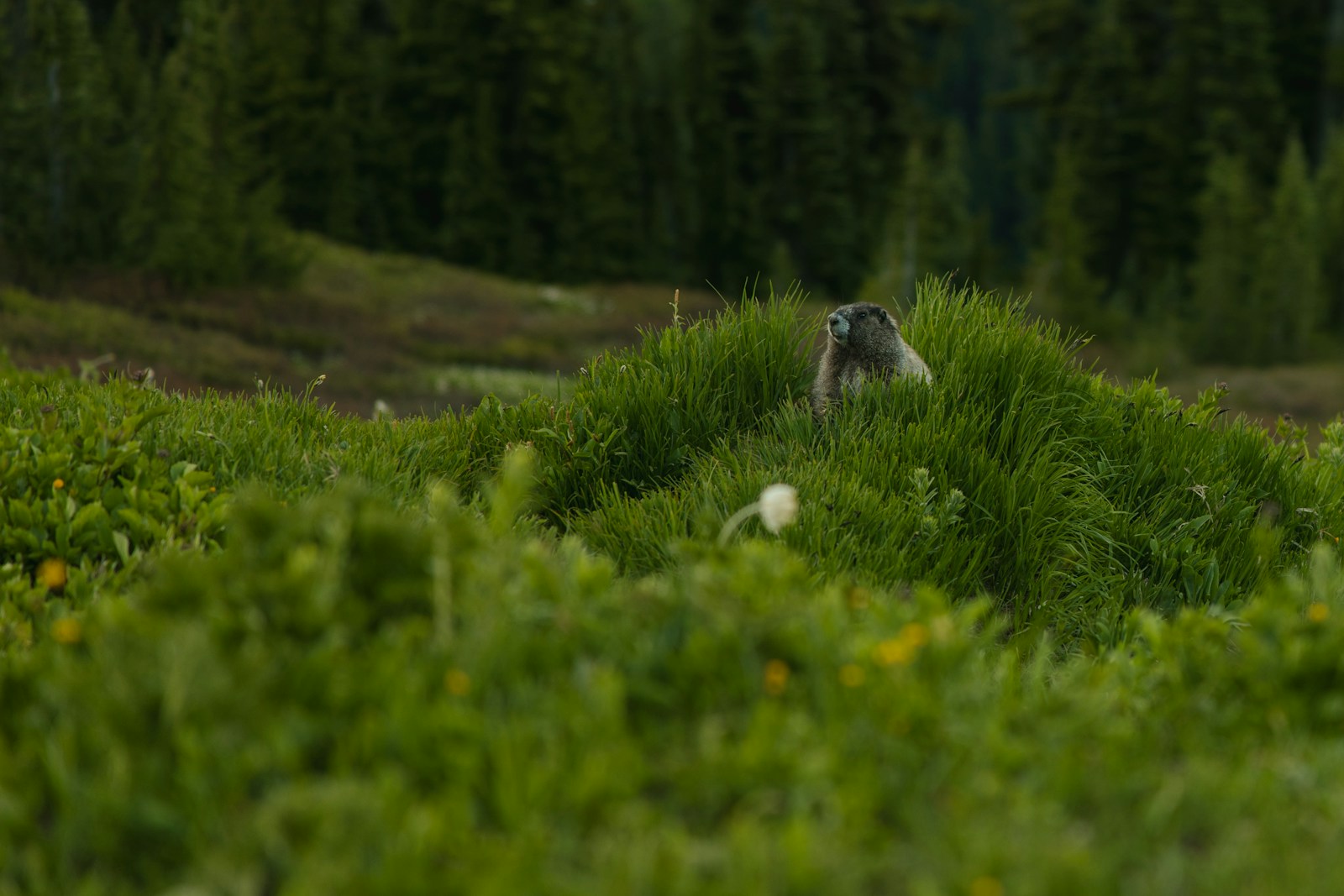 🌍 aventuras: Descubra os Destinos Mais Radicais do Mundo